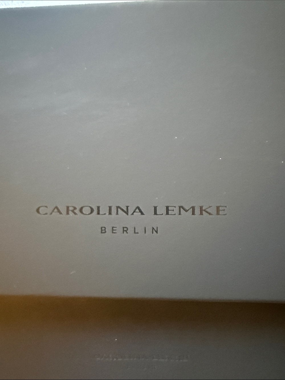 Carolina Lemke Nude-Peach Square Women’s Sunglasses - Picture 2 of 6